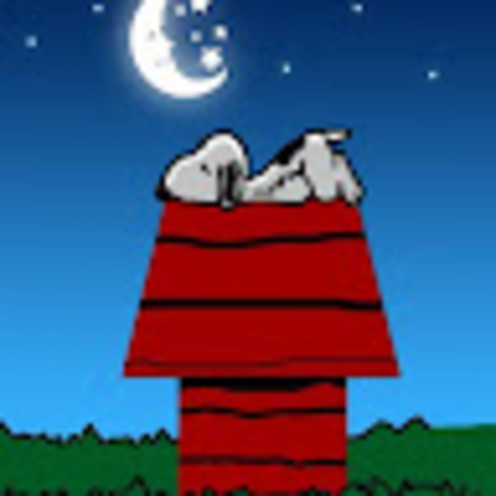 Meet your Posher, Rob